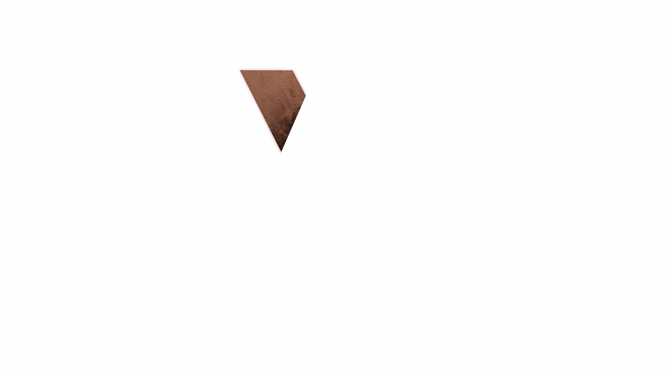 Vanguard logo sliderC